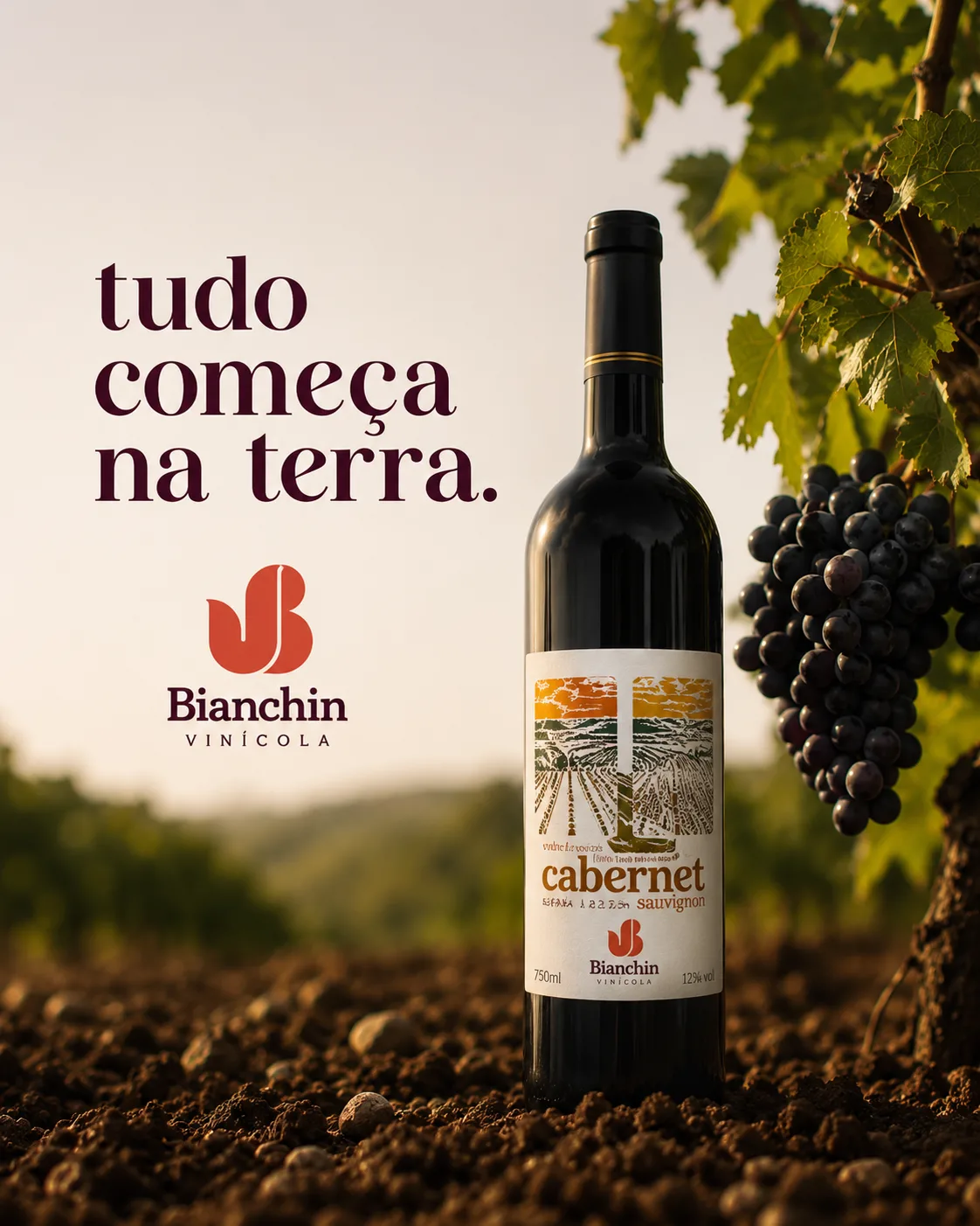 Publicidade — Bianchin Vinícola