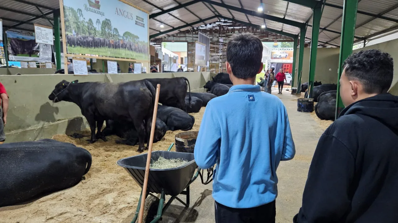 Feira das Profissões do Agro apresenta carreiras do campo a adolescentes de casas de acolhimento
