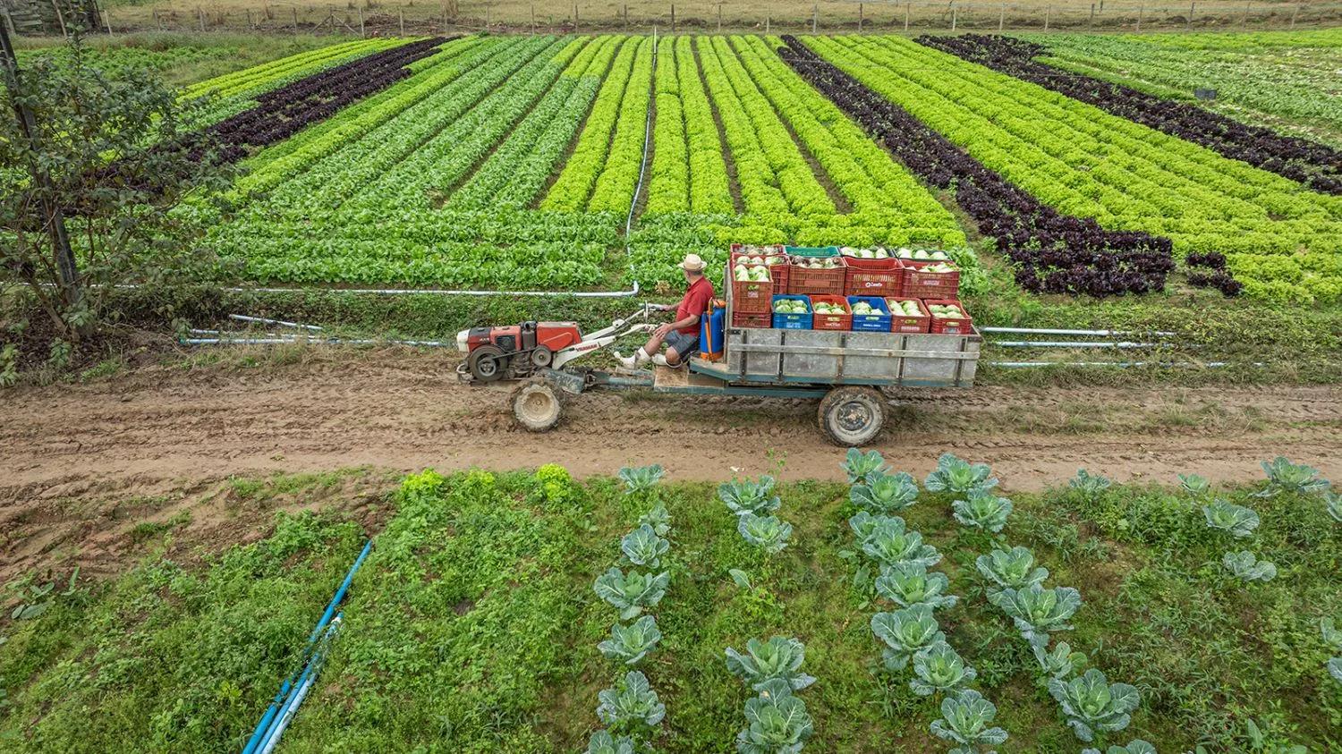 Governo de SC amplia acesso de produtores rurais catarinenses a créditos de ICMS