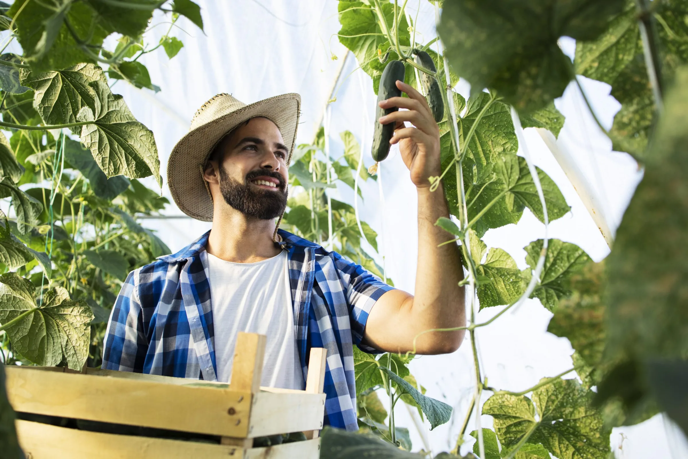 Agro bate recorde histórico de empregos no Brasil