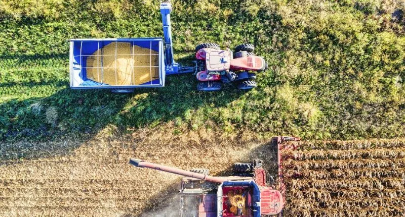 Agro lidera pedidos de recuperação judicial no Brasil em 2025
