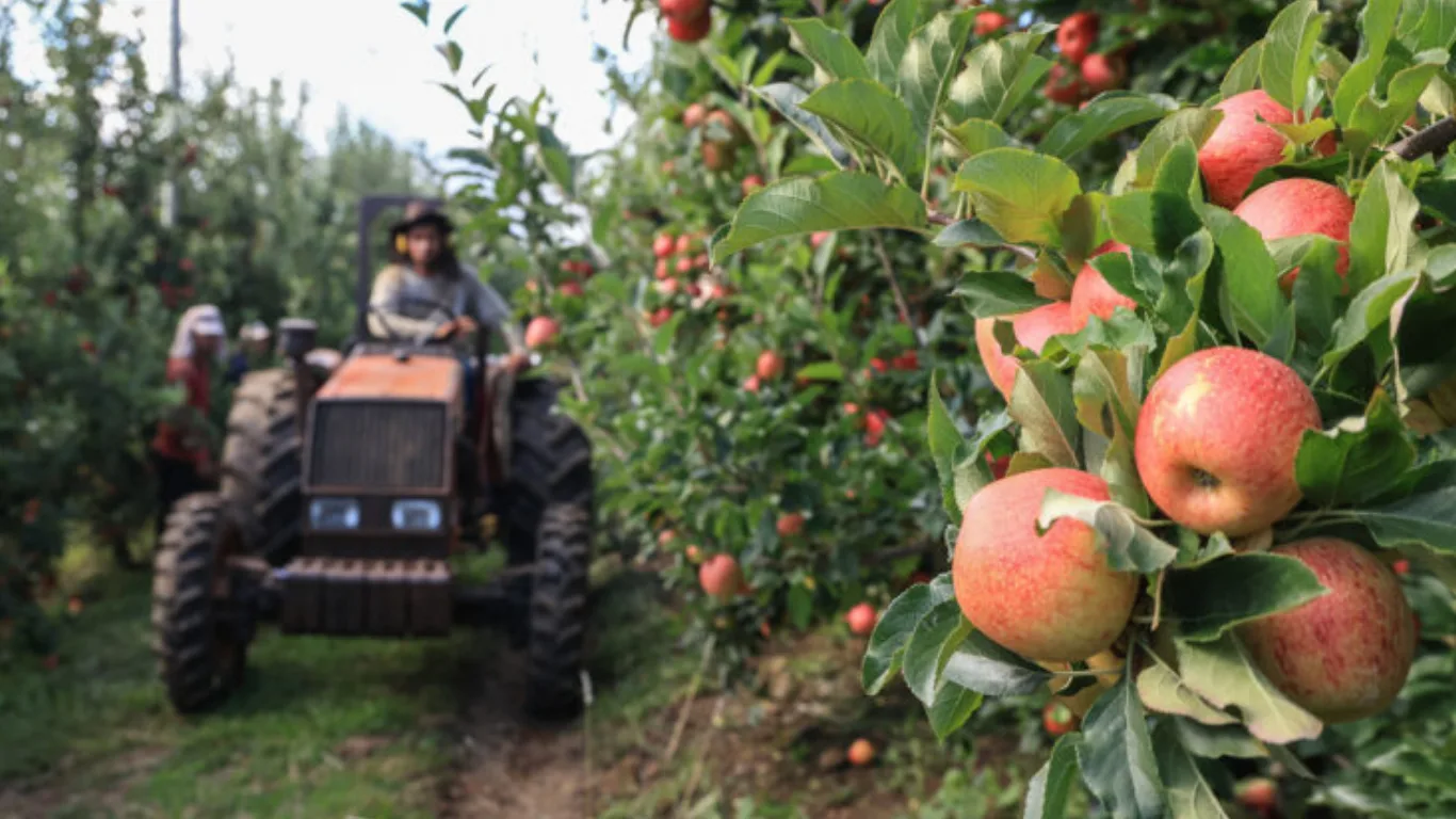Tecnologia, crédito e conhecimento servem de estímulo à fixação do jovem no meio rural