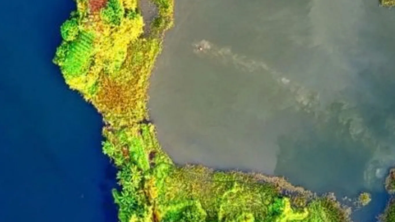 Imagens de satélite como prova de dano ambiental: o que o produtor rural precisa saber