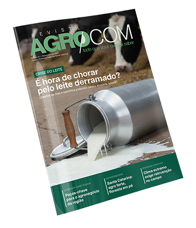 Capa da Edição 01 — Dezembro 2025